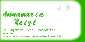 annamaria meizl business card